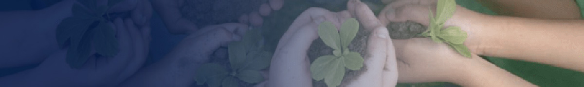 Banner BCR Valores