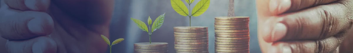  BCR Valores Productos servicios